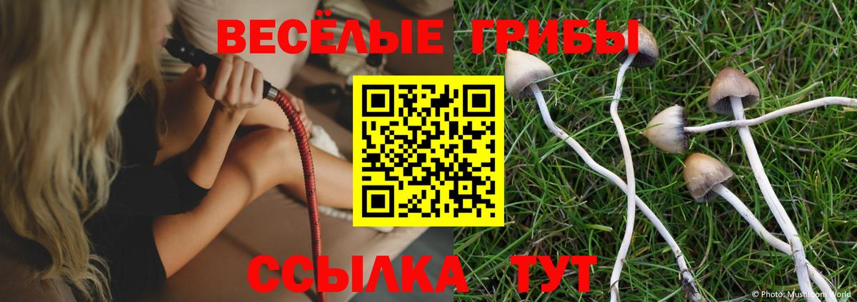 Псилоцибиновые грибы мицелий Гудермес