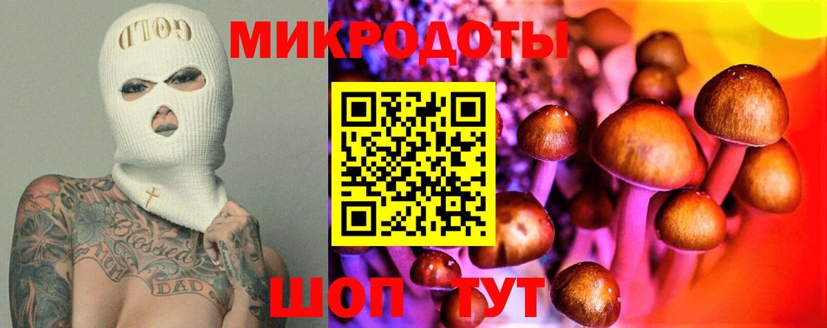 Гудермес  Псилоцибиновые грибы мухоморы  Вход с VPN  Галлюциногенные грибы MAGIC MUSHROOMS 